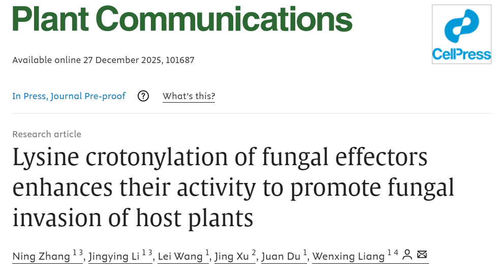 梁文星教授团队揭示植物病原菌效应蛋白活性调控新机制
